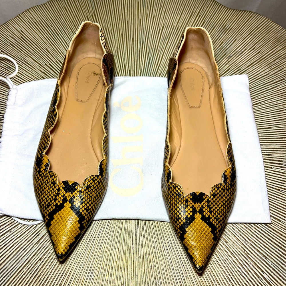 Chloe python leather scalloped ballet flats in mustard/saffron, brown, and cream